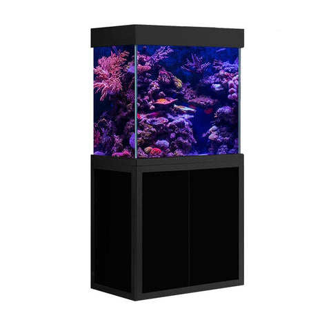 Image of Aqua Dream 50 Gallon Tempered Glass Aquarium Fish Tank [AD-860]