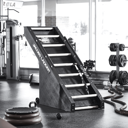 Image of Jacob's Ladder Commercial Exercise Machine