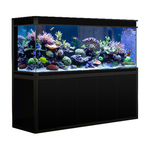 Image of Aqua Dream Silver Edition 230 Gallon Tempered Glass Aquarium Fish Tank [AD-1760]